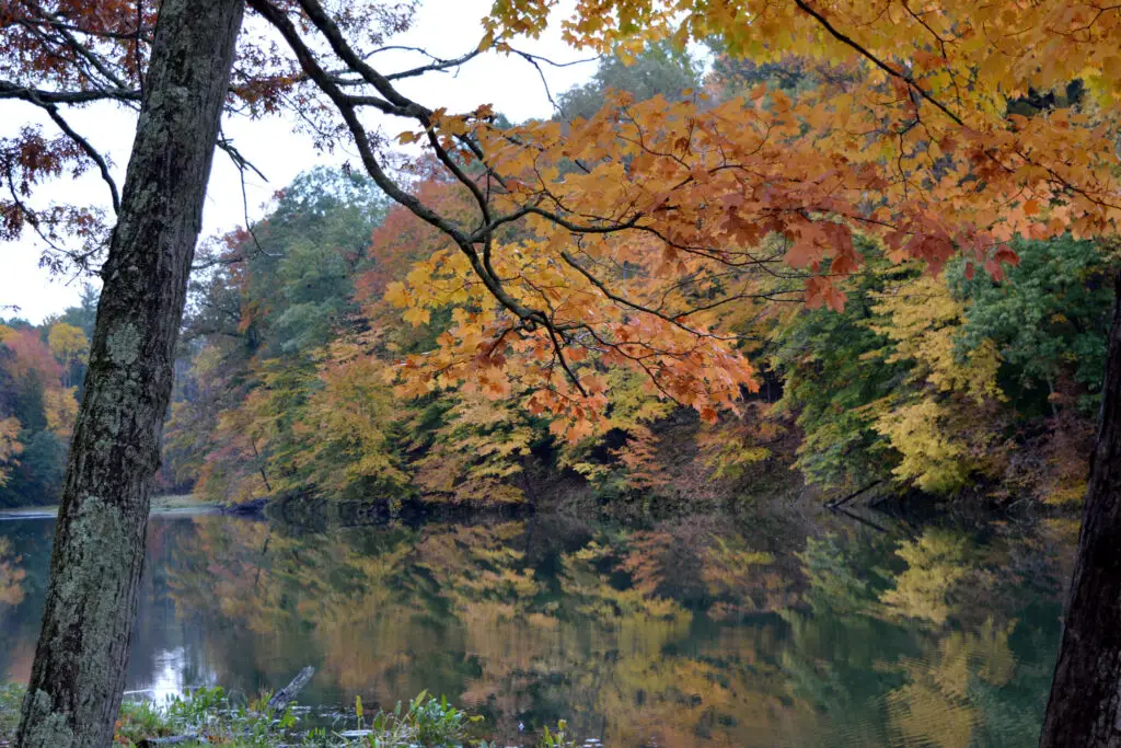 Crédito de la foto: Danie Becknell (Flickr CC)