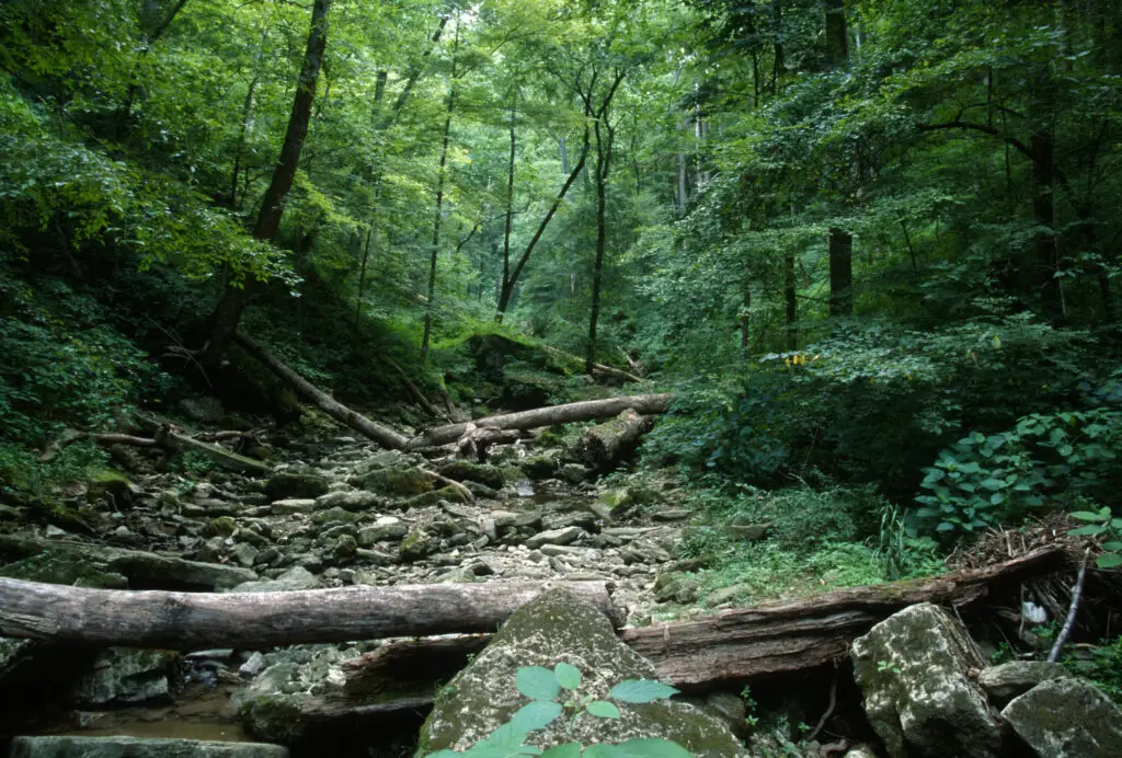 Crédito de la foto: Roger Gerbig (Flickr CC)