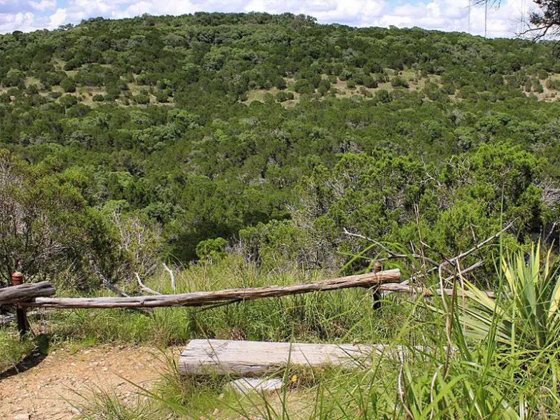 10 mejores caminatas en Austin, Texas