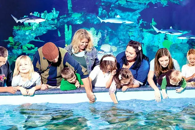 10 mejores cosas para hacer cerca de Phoenix, AZ: ¡Lugares divertidos para visitar cerca!