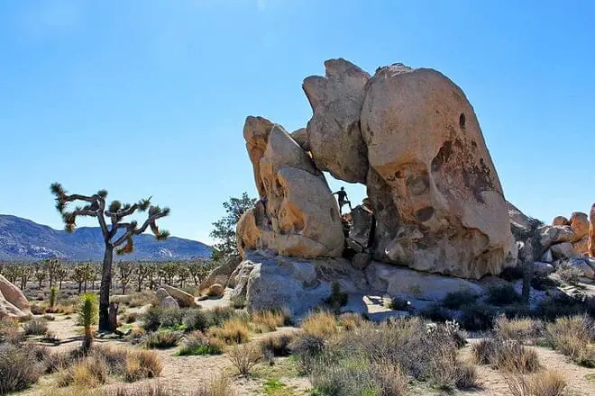 11 cosas divertidas para hacer en Joshua Tree con niños: ¡actividades para toda la familia!