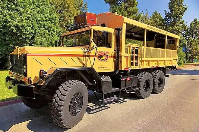 11 cosas divertidas para hacer en la isla Catalina con niños: ¡actividades para toda la familia!