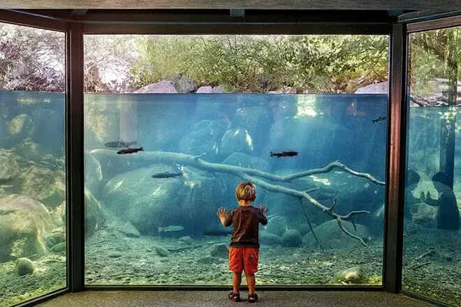 11 cosas divertidas para hacer en Lake Tahoe con niños: ¡actividades para toda la familia!