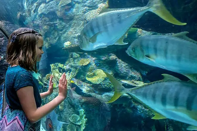 11 cosas divertidas para hacer en Long Beach con niños: ¡actividades para toda la familia!