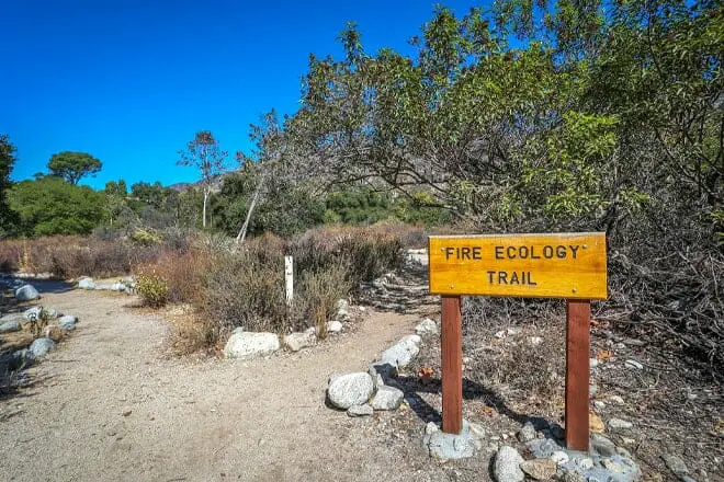 11 cosas divertidas para hacer en Pasadena con niños: ¡actividades para toda la familia!