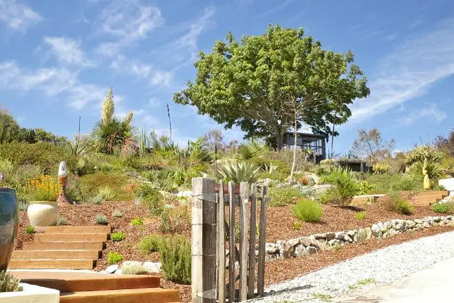 11 cosas divertidas para hacer en Santa Cruz con niños: ¡actividades para toda la familia!