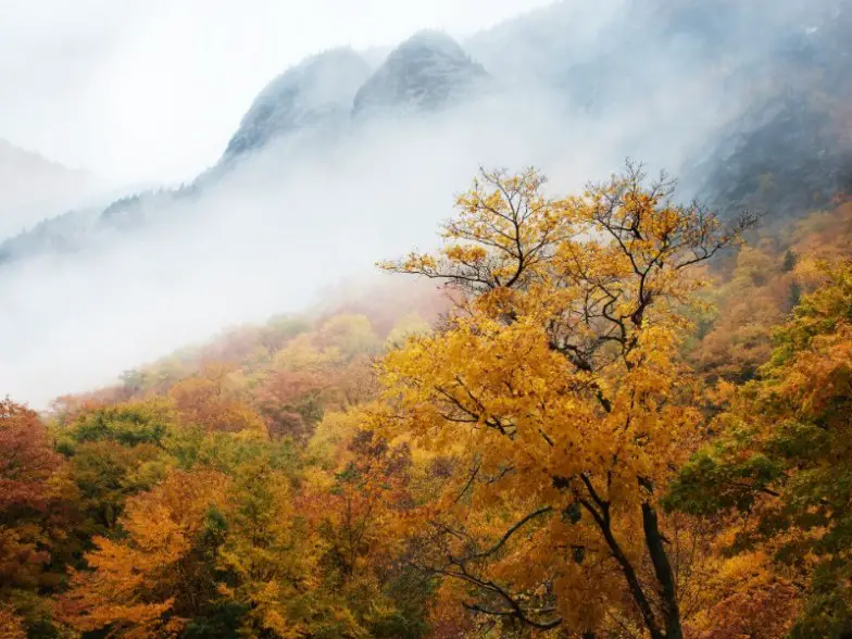 11 hermosos parques estatales y nacionales en Vermont