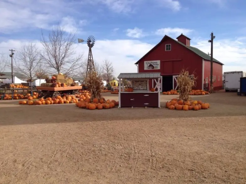 11 parcelas de calabazas de Colorado para visitar este otoño
