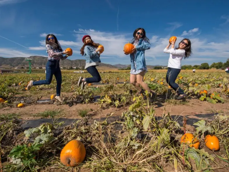 Jardines Botánicos de Denver Granjas de Chatfield