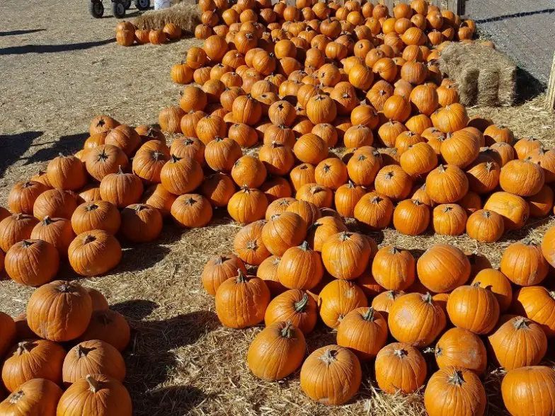 Granja de acres planos