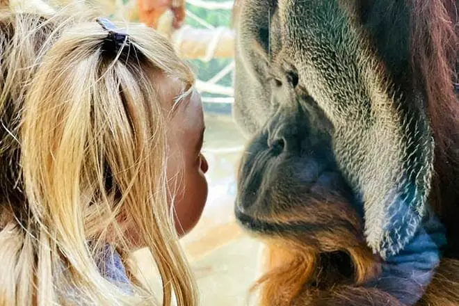 12 cosas divertidas para hacer en Fort Wayne con niños: ¡actividades para toda la familia!