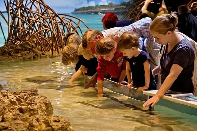 12 cosas divertidas para hacer en Massachusetts con niños: ¡las mejores atracciones para toda la familia!