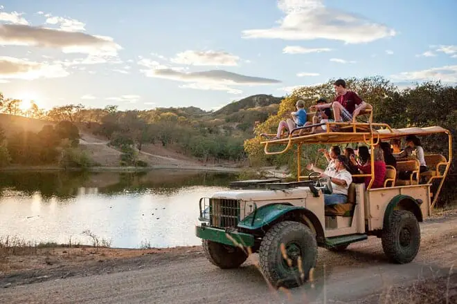 12 cosas divertidas para hacer en Santa Rosa con niños: ¡actividades para toda la familia!