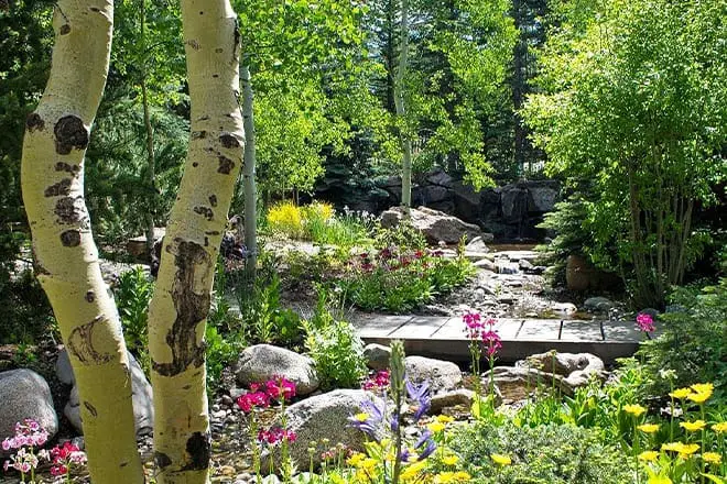 12 cosas divertidas para hacer en Vail con niños: ¡actividades para toda la familia!