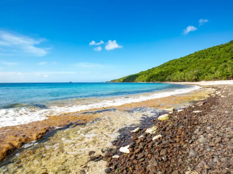 12 cosas inolvidables para hacer en Culebra, Puerto Rico