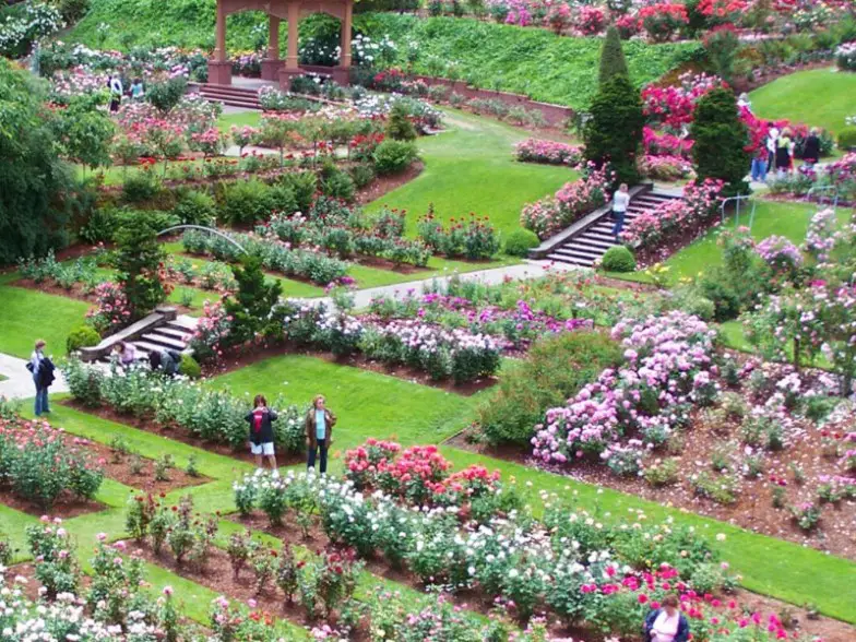 Jardín internacional de pruebas de rosas de Portland