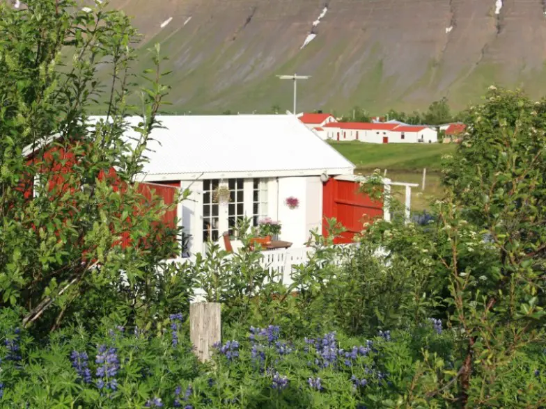 13 increíbles Airbnbs en el norte de Islandia