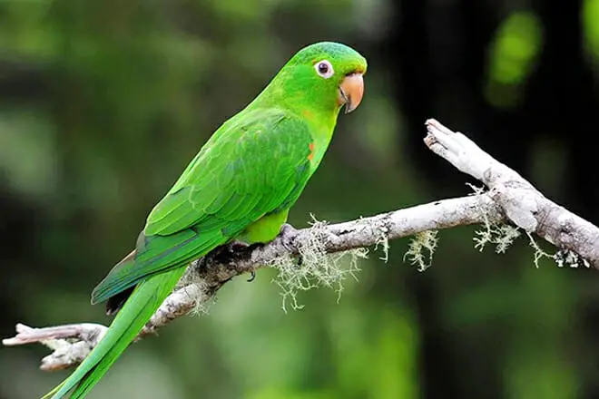 15 cosas divertidas para hacer en Aruba con niños: ¡actividades para toda la familia!