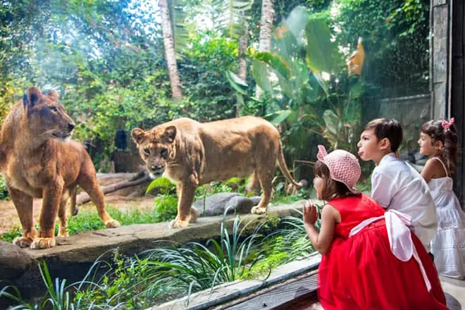 15 cosas divertidas para hacer en Bali con niños: ¡actividades para toda la familia!