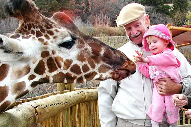 15 cosas divertidas para hacer en Colorado Springs con niños: ¡actividades para toda la familia!