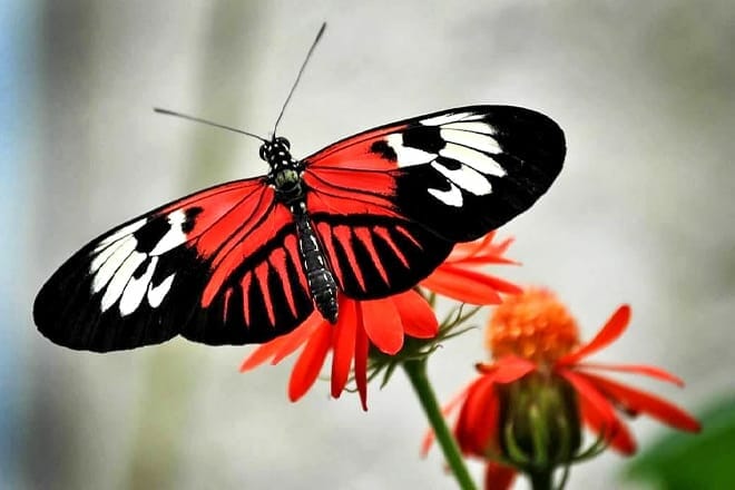 15 cosas divertidas para hacer en el sur de Florida con niños: ¡actividades para toda la familia!