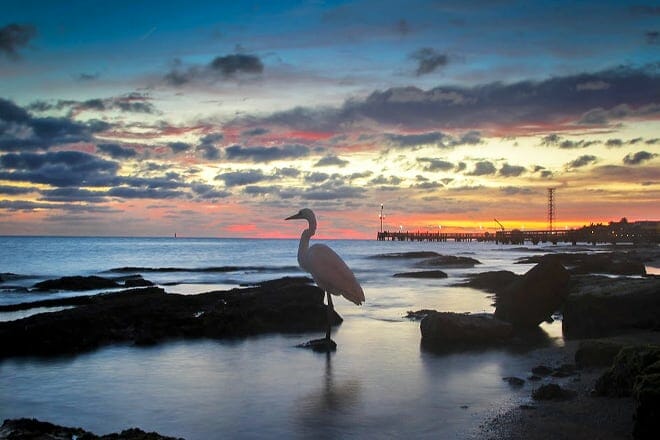 15 cosas divertidas para hacer en los Cayos de Florida con niños: ¡actividades para toda la familia!