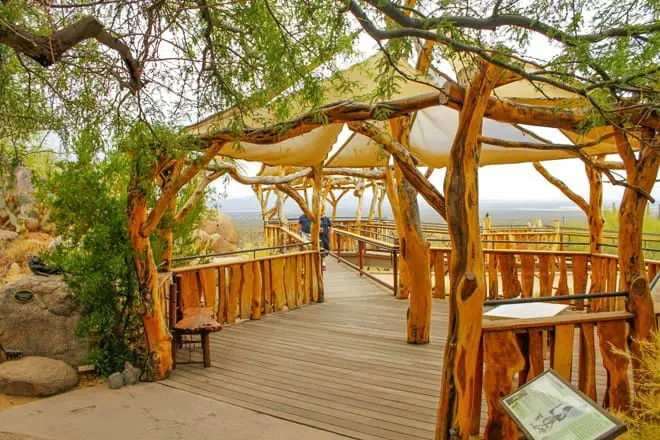 15 cosas divertidas para hacer en Tucson con niños: ¡actividades para toda la familia!