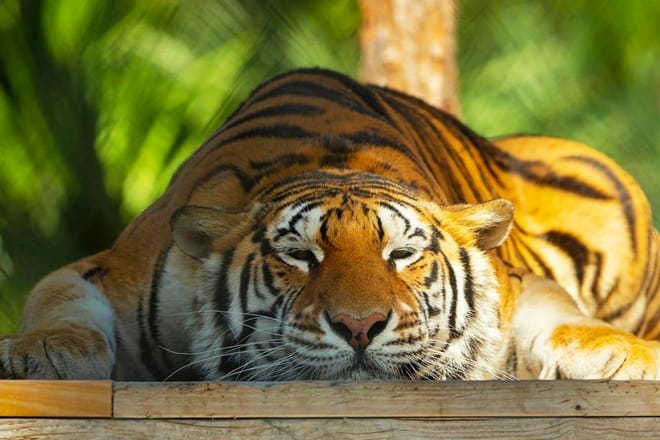 15 cosas divertidas para hacer en West Palm Beach con niños: ¡actividades para toda la familia!