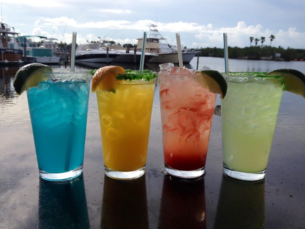 15 cosas mejores que hacer en Cutler Bay (FL)