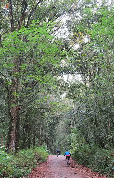 15 Mejores Cosas para Hacer en Pereira (Colombia)