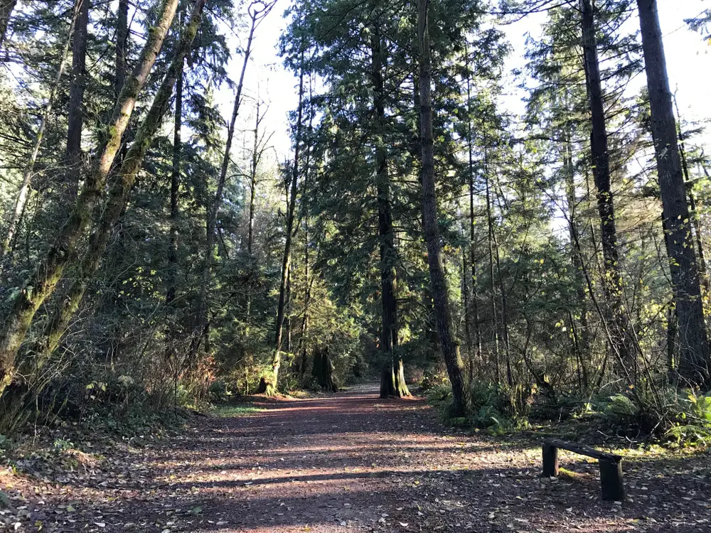 15 Mejores Cosas que Hacer en Coquitlam (British-Columbia, Canadá)