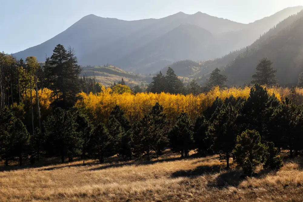 15 Mejores Cosas que Hacer en Flagstaff (AZ)