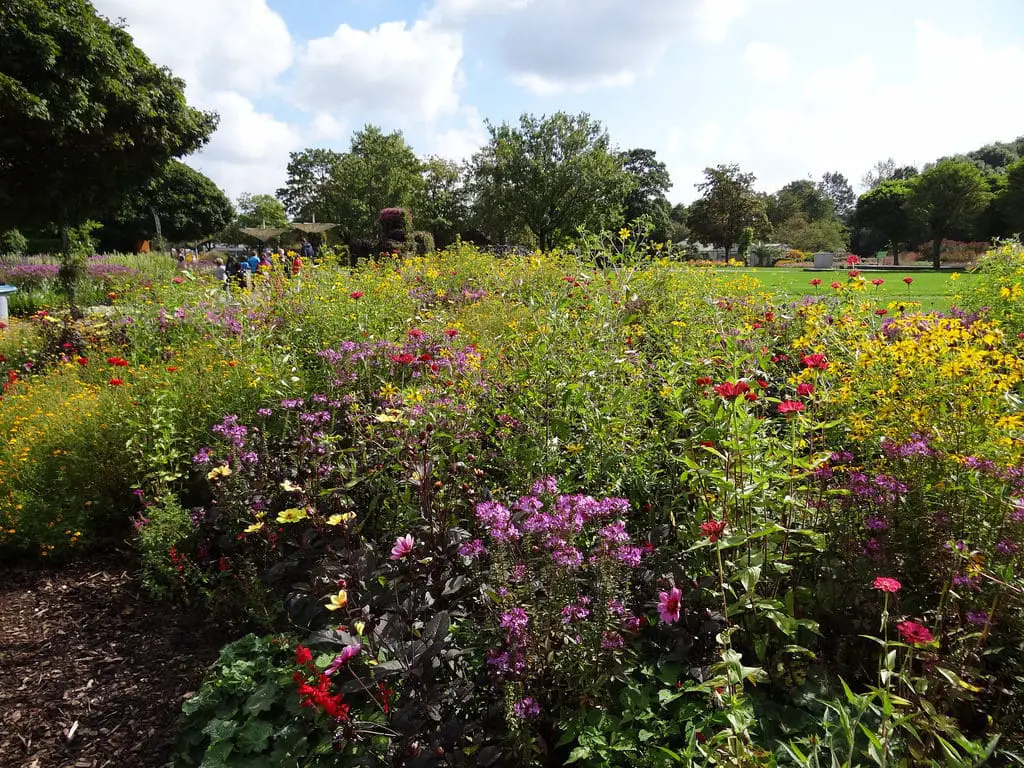 15 mejores cosas que hacer en Hamm (Alemania)
