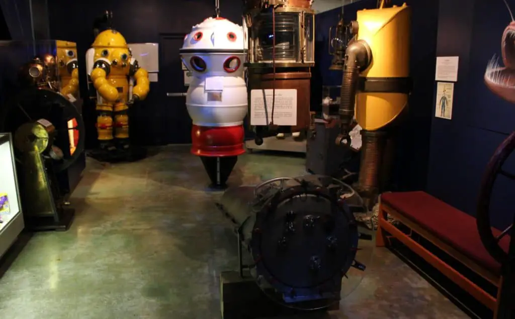 15 mejores cosas que hacer en Islamorada (FL)