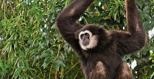 15 mejores cosas que hacer en Maia (Portugal)