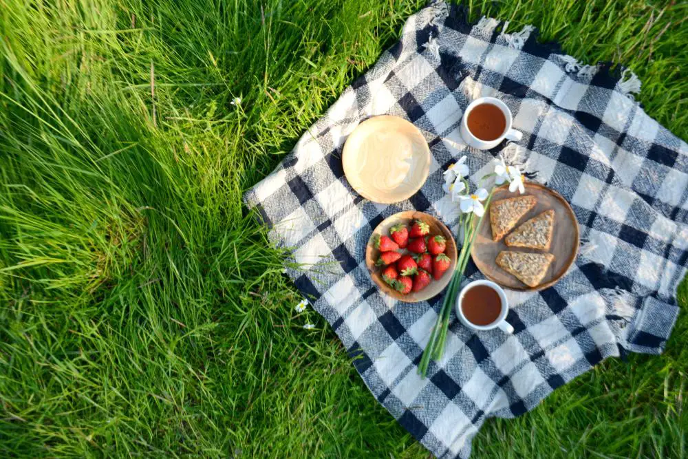 15 mejores cosas que hacer en Palo Alto (CA)