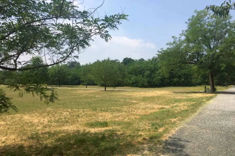 15 mejores cosas que hacer en Piacenza (Italia)