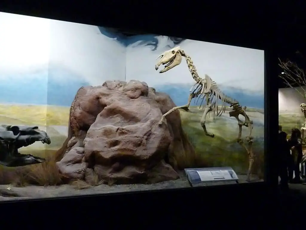 15 mejores cosas que hacer en Trelew (Argentina)