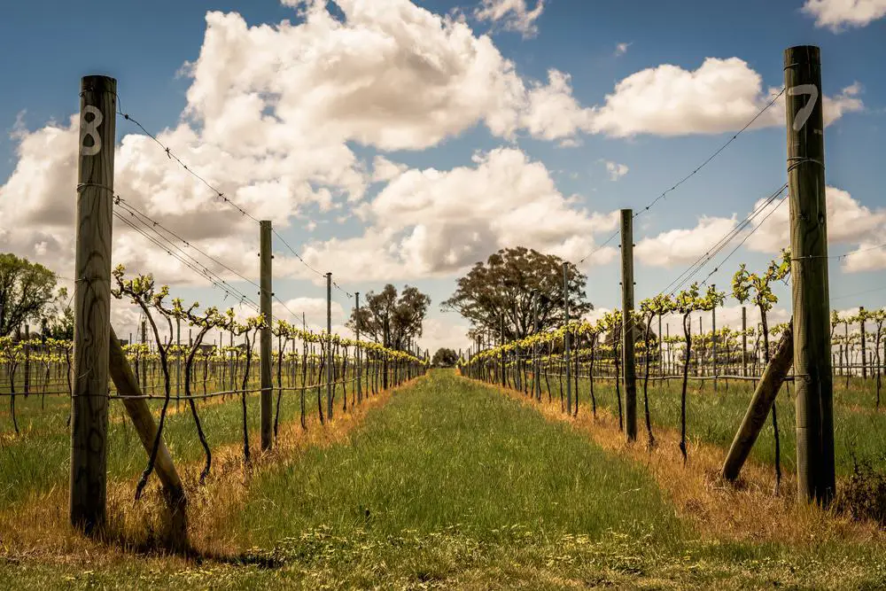 15 mejores excursiones de un día desde Chicago