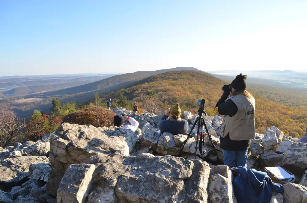 Crédito de la foto: Richard Bonnett (Flickr CC)