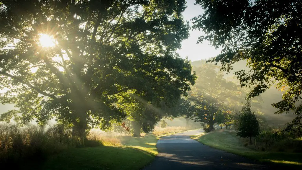 Crédito de la foto: Tomás (Flickr CC)