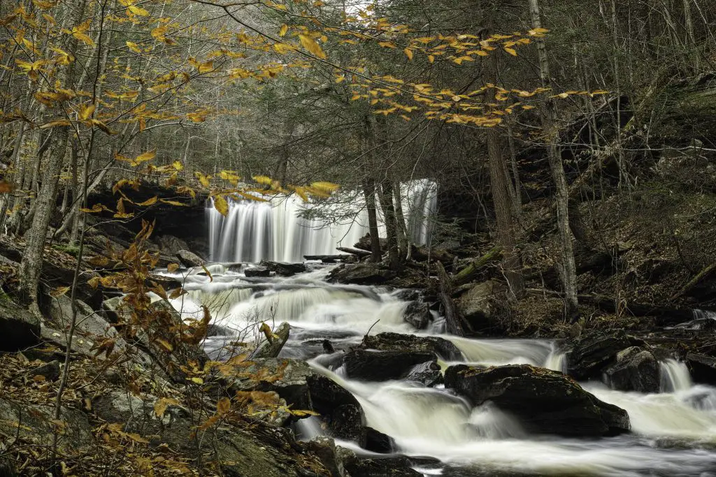 Crédito de la foto: Gene Krasko (Flickr CC)