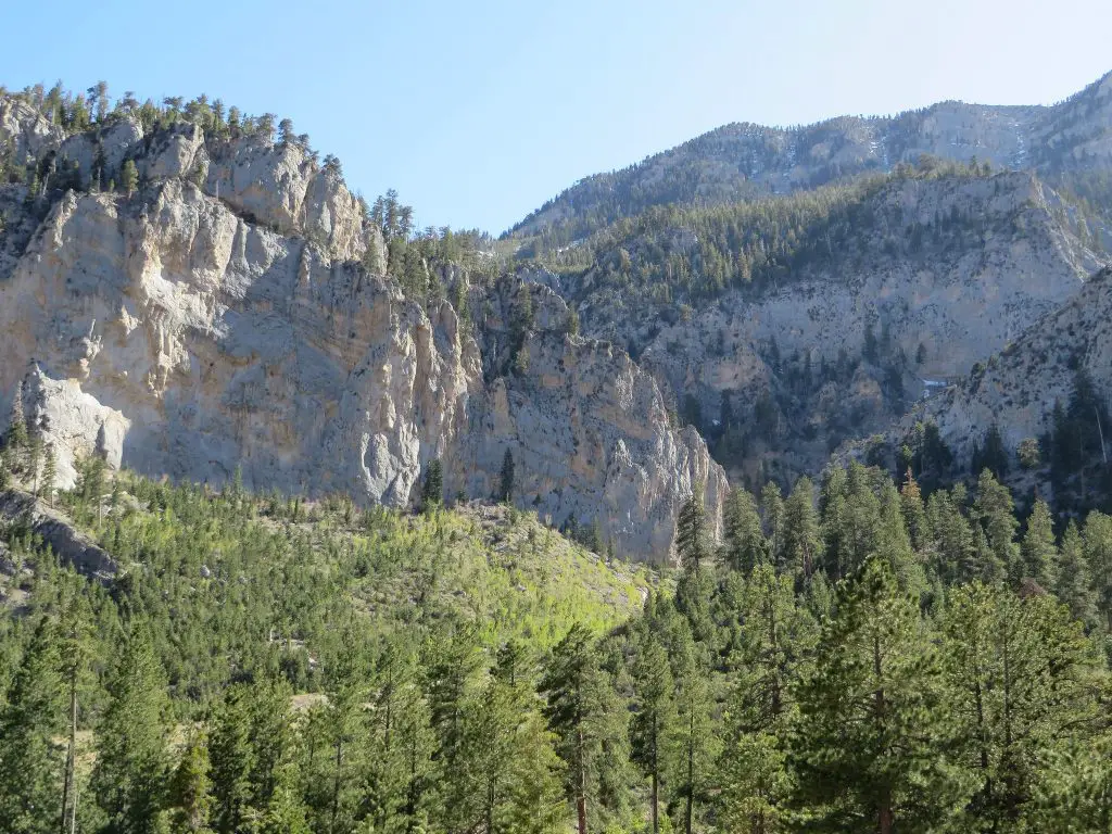 Crédito de la foto: Ken Lund (Flickr CC)