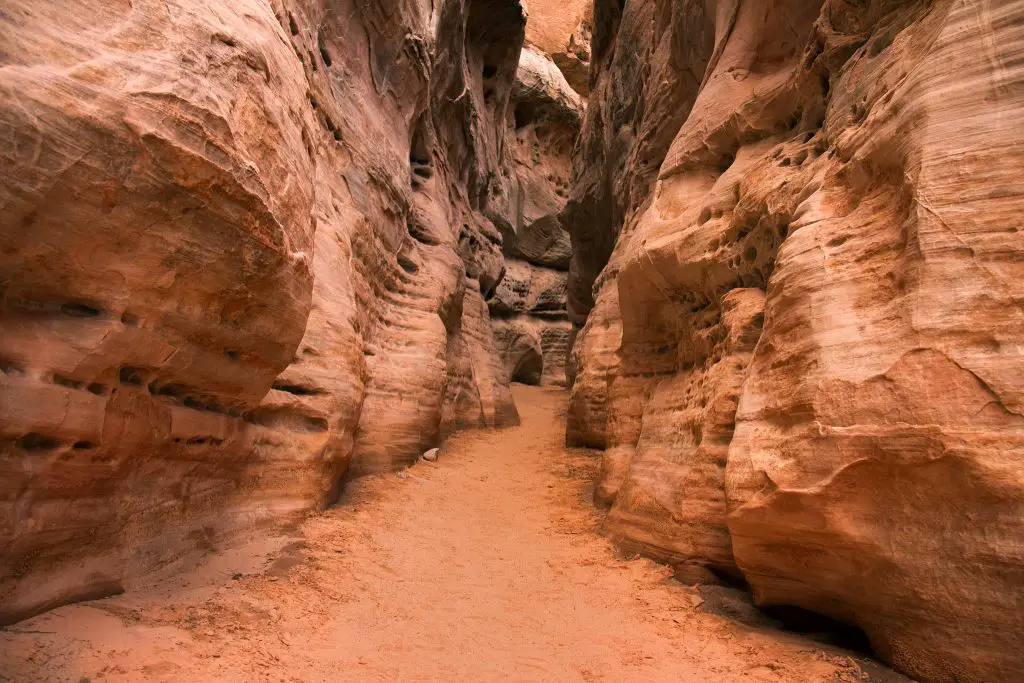 Crédito de la foto: M. Orchard (Flickr CC)