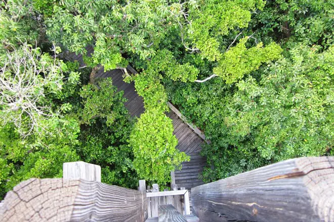 17 mejores cosas para hacer en Boca Raton, FL: ¡las mejores actividades y lugares para ir!