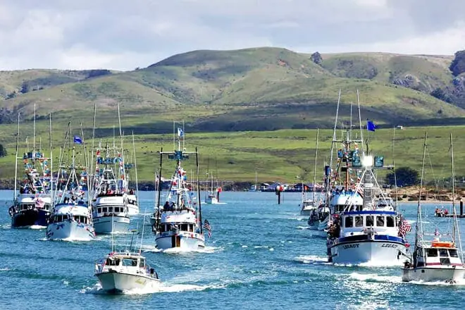 17 mejores cosas para hacer en Bodega Bay, CA: ¡las mejores actividades y lugares para ir!