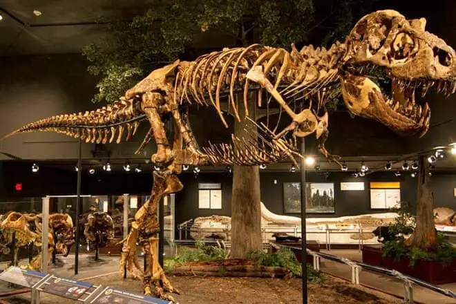 17 mejores cosas para hacer en Bozeman, MT: ¡las mejores actividades y lugares para ir!