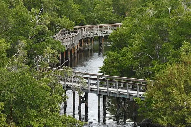 17 mejores cosas para hacer en Bradenton, FL: ¡las mejores actividades y lugares para ir!