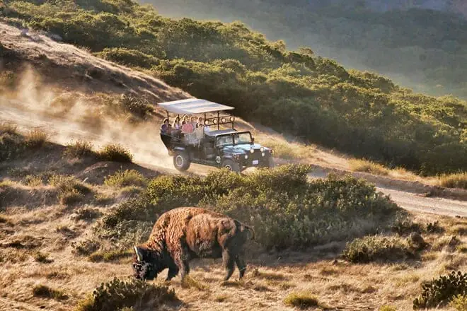 17 mejores cosas para hacer en Catalina Island, CA: ¡las mejores actividades y lugares para ir!