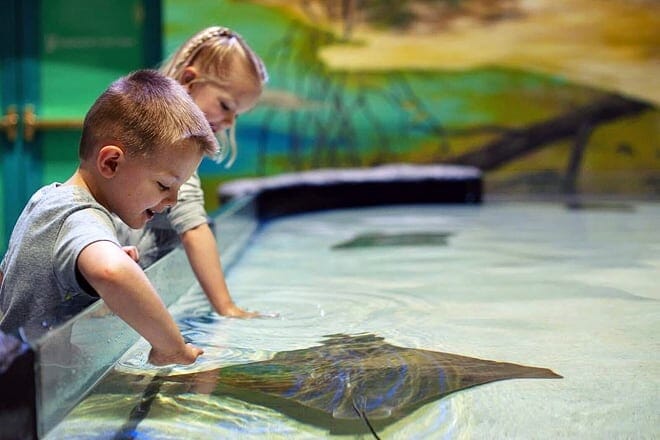 17 mejores cosas para hacer en Dubuque, IA: ¡las mejores actividades y lugares para ir!